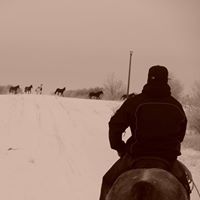 Shane Crowe Photo 13