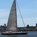 John Harb Photo 22