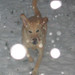Sandy Chase Photo 10