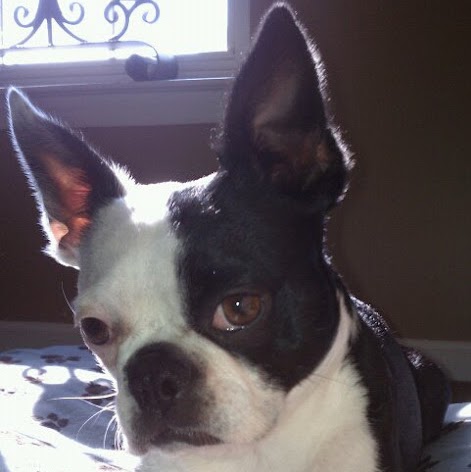 Tricia Kelly Photo 15