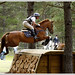 Karen Connor Photo 30