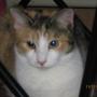 Marlene Snyder Photo 19