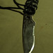 Darrel Sharp Photo 10