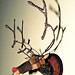Rudolph Jenkins Photo 14