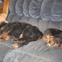 Brenda Whittle Photo 7