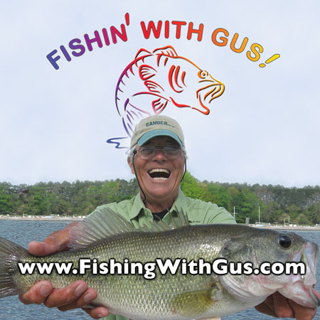 William Gustafson Photo 35