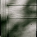 Jennifer Shipley Photo 37