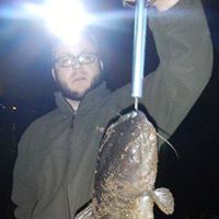 David Stearns Photo 12