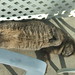 Kathleen Stanley Photo 22
