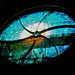 Deborah Eldridge Photo 18