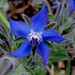 Helen Knight Photo 38