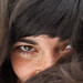 Nicole Pollock Photo 23