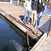 Mark Chavez Photo 12