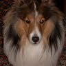 Mary Conner Photo 30