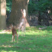 Martin Plumb Photo 12