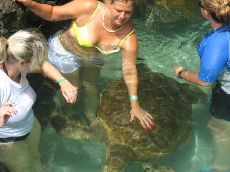 Kristin Hall Photo 26
