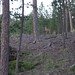 Steven Custer Photo 12