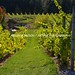 Michelle Devries Photo 21