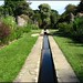 Dorothy Lucas Photo 15