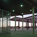 Dora Robertson Photo 10