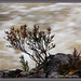 Heather Flood Photo 15