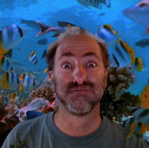 Steve Rockwell Photo 5