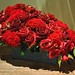 Michael Flowers Photo 20