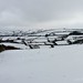 Randon Lane Photo 11