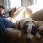 Clint Russell Photo 35