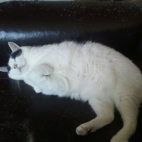 Scott Fedor Photo 3