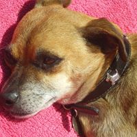 Sandra Parr Photo 15