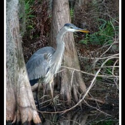 Donna Schneider Photo 37