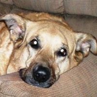 Tracie Wyatt Photo 19
