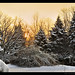 Troy Winters Photo 13