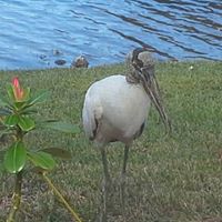 Karen Hendricks Photo 29