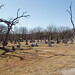 Sarah Tidwell Photo 40