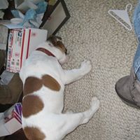 Renea Belcher Photo 6