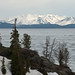 Renee Weaver Photo 15