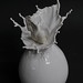 Ming Tsang Photo 13