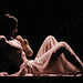 Gregory Schell Photo 11