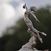 Aaron Dement Photo 10