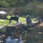 Susan Mcintire Photo 33