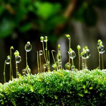 Thuy Huynh Photo 34