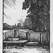 George Bradwell Photo 2