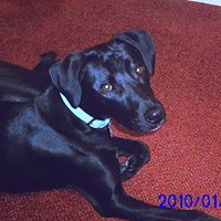 Jane Griggs Photo 9