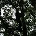 Rachael Stephens Photo 19