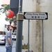 Shing Wong Photo 26