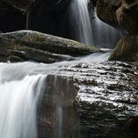 Teresa Standridge Photo 2