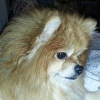 Donna Sherman Photo 17