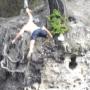 Marcus Adams Photo 24